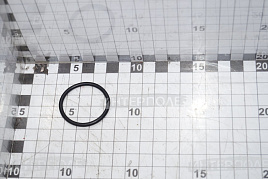 Кольцо уплотнительное к фланцу (НШ-32)