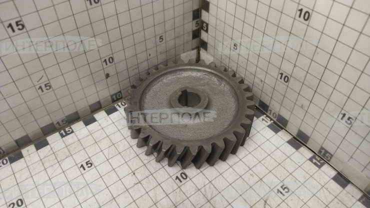 Шестерня привода масляного насоса (ПАО Автодизель)