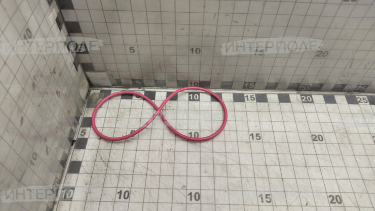 Кольцо уплотнительное насоса (Бюлер)