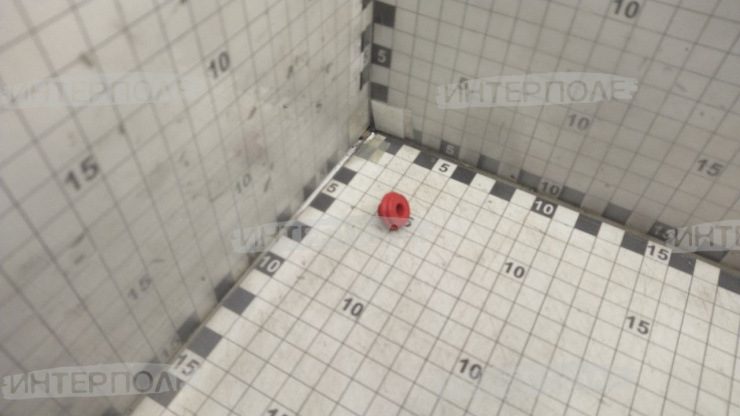 Кольцо стопорное болта впускного коллектора Cummins ISF