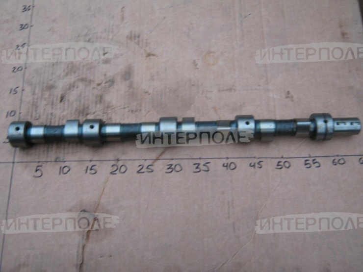 Вал распределительный Д-242 (2 шпонки), ОАО"ММЗ"