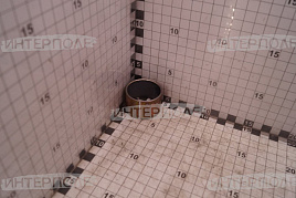 Втулка разжимного кулака нов.обр. КАМАЗ (ПАО КамАЗ)