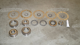 Комплект уплотнений и подшипников дифференциала (Бюлер) DANA