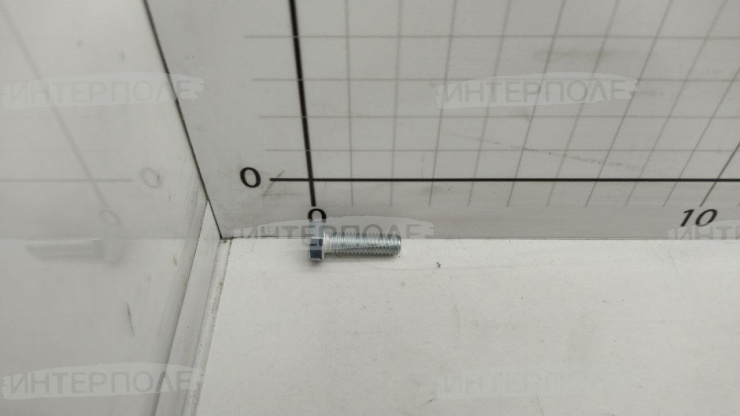 Болт М 6х 20х1,0 шестигранная головка, класс 10.9 полная резьба