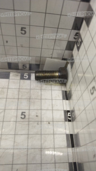 Болт крепления переходника ТКР Д-260 короткий, ОАО "ММЗ"