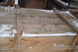 Транспортер полнокомплектный ременчатый редуктор ТСН-3Б (160 м)