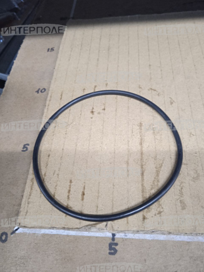 Кольцо уплотнительное (MEGA 370-360,TUCANO 320,430-420,450-440,LEXION 560-540) Claas