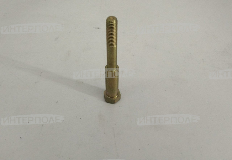 Болт собачки