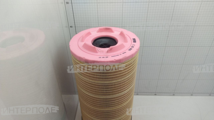 Фильтр возд. перв. Challenger (MANN)