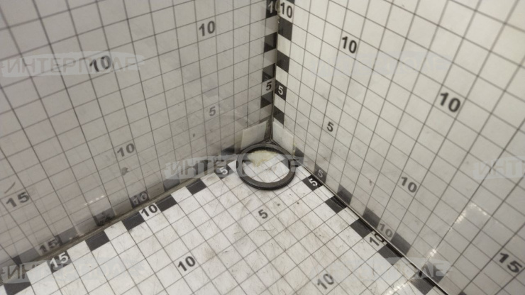 Шайба регулировочная хвостовика В=2,90 мм, ОАО "МТЗ"