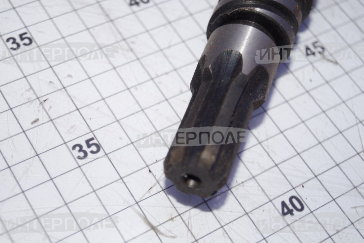 Червяк гура