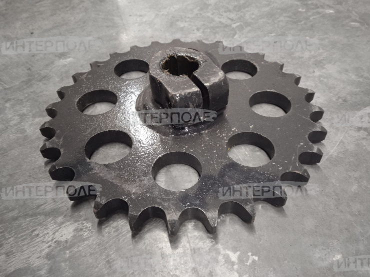 Звездочка (z=29, t=25,4, d=30) верхняя элеватора зернового Есиль-760,КЗС-1218,Есиль-750,КЗС-10К Гомсельмаш