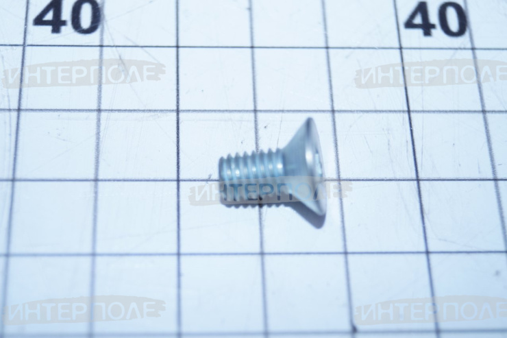 Болт М 6х 12 потайная головка с внутренним шестигранником , 90°, класс 10.9, Honey Bee, Шумахер 