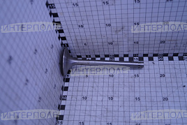 Клапан впускной большой (К-700, ДТ-75,Т-4) ЯМЗ (ПАО Автодизель)