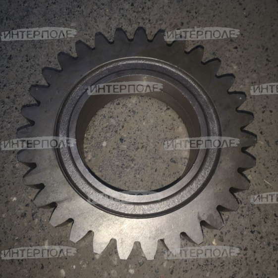 Шестерня (z=31) (-744) Завод