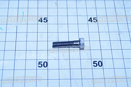 Болт М 6х 25х1,0 шестигранная головка, класс 5.8