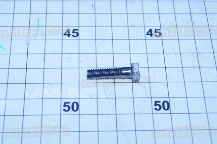 Болт М 6х 25х1,0 шестигранная головка, класс 5.8