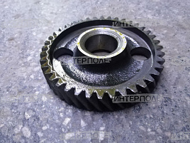 Шестерня распредвала (z=40, угол наклона 28°) стар. обр. Д-243, Д-245, ОАО "ММЗ"