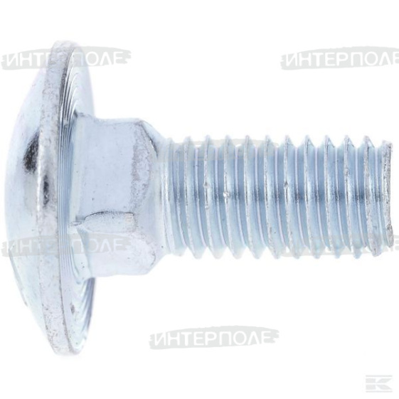 Болт М 8х 20х1,25 с полупотайной головкой с квадратным подголовником, класс 8.8 Claas