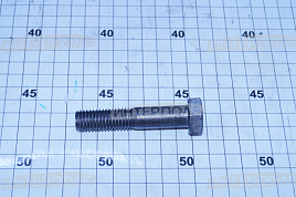 Болт М14х 70х2,0 шестигранная головка, класс 5.8