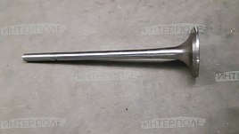 Клапан впускной ТМЗ (ПАО Автодизель)